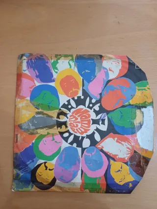 45 giri Camaleonti - Vinile