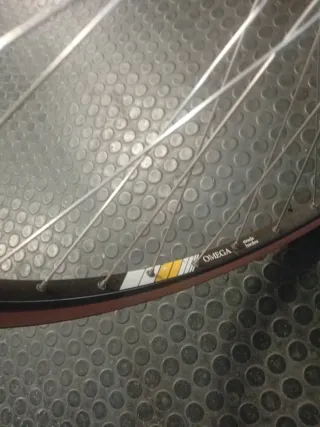 Ruedas Campagnolo C Record 8v Omega