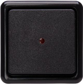 KOPP 514605009 - Interruptor de control (10 A, 250