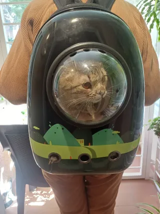 Transportín para gato con ventana