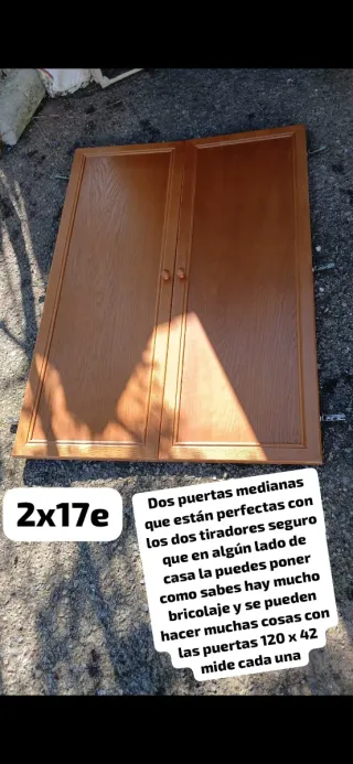 Puertas de Muebles Antiguos (2 unidades)