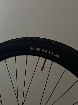 Orbea MX 10 - Reestreno (Tope de Gama)