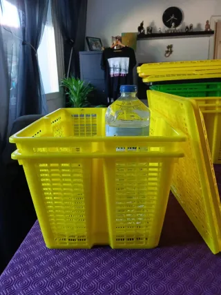 2 ceste in plastica impilabili con coperchio 40*30*23 cm