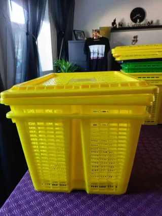 2 ceste in plastica impilabili con coperchio 40*30*23 cm