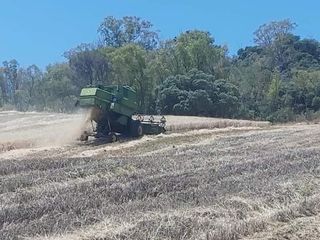 Cosechadora John Deere 1177 ALH