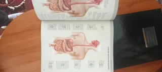 Atlas cuerpo humano