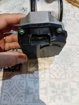 Cuerpo de mariposa