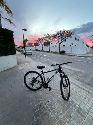 Bicicleta Montaña Racer 29