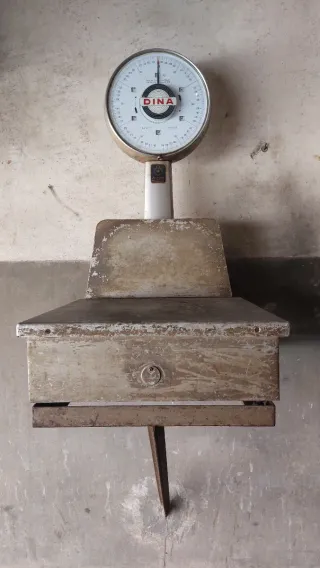 Báscula automatica DINA 30kg