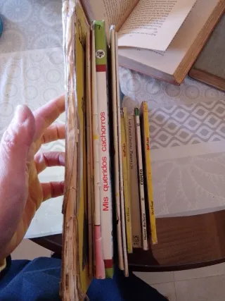 Lote de libros antiguos