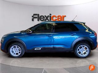 Citroën C4 Cactus PureTech 110 S&S Shine