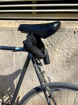 Bicicleta Holandesa Gazelle (Talla 60) + Extras
