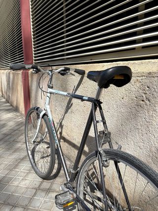 Bicicleta Holandesa Gazelle (Talla 60) + Extras