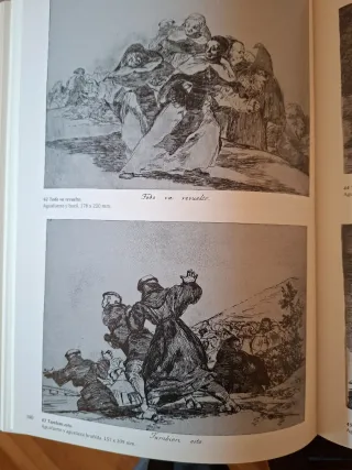 Goya: Obra gráfica completa (Arte Español) (Spa...