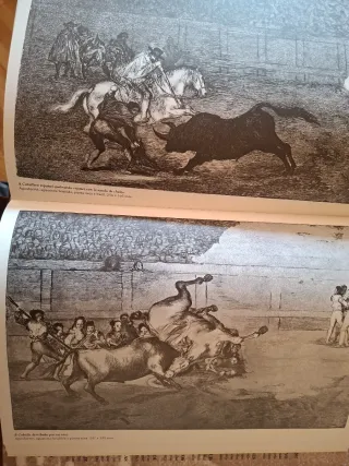 Goya: Obra gráfica completa (Arte Español) (Spa...