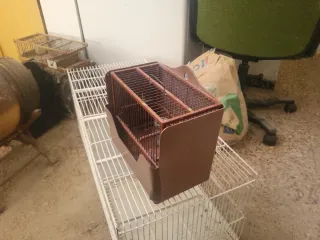 Jaula Jiguero Marrón y Transparente