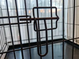 Jaula Plegable Mediana para Viajes