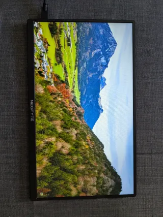 Monitor Portátil NEOFYTE 14 1080p HDR IPS 270282