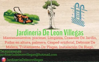 Servicios de Jardinería y Poda