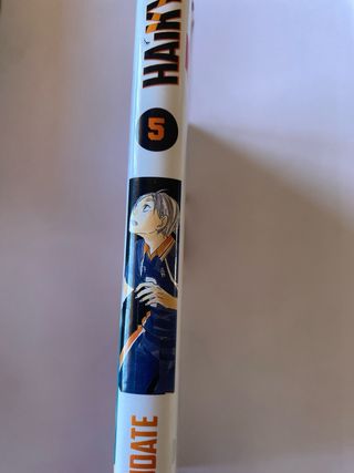 Haikyû!! nº 05/45