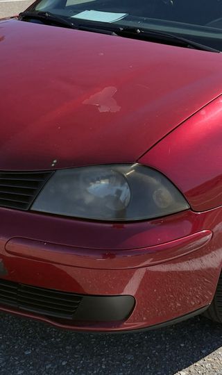 Seat Ibiza 1.4 TDI 3P Diesel 2005 || 262.000 KM