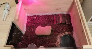 Terrario Madera Tortuga con Vidrio