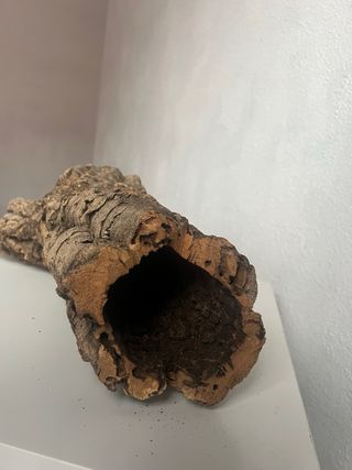 Tronco para reptiles