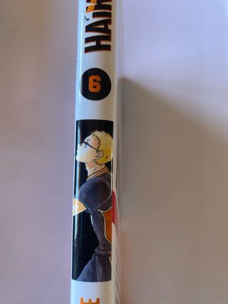 Haikyû!! nº 06