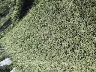 Césped artificial reciclado