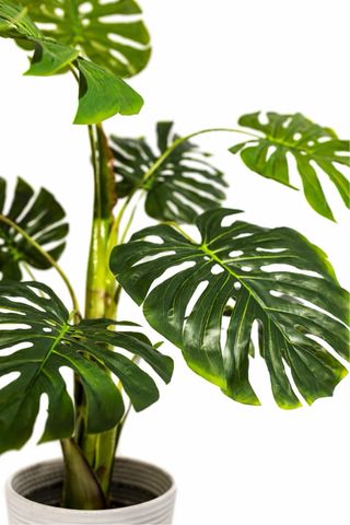 Planta Artificial Grande 110cm