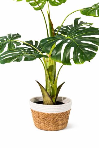 Planta Artificial Grande 110cm