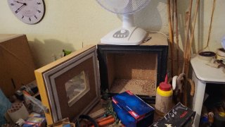 Cajón para educar pájaros
