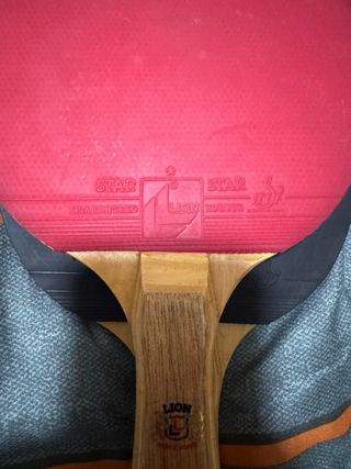 Raquetas Ping-Pong Van Allen y funda