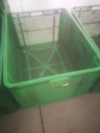 Cajas de plástico grandes verdes