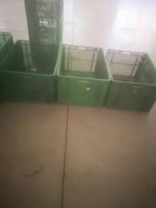 Cajas de plástico grandes verdes