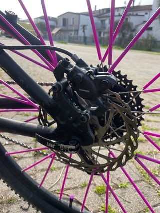 Bici Wheelie Taglia 26