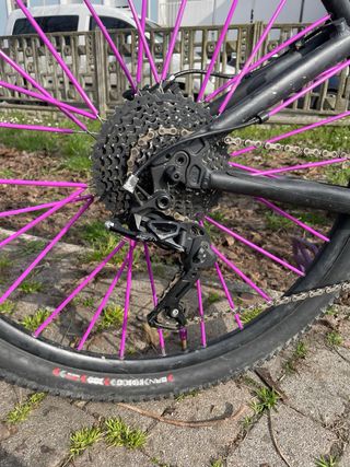 Bici Wheelie Taglia 26
