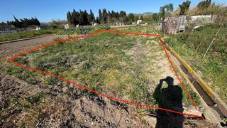 Huerto de 130m2