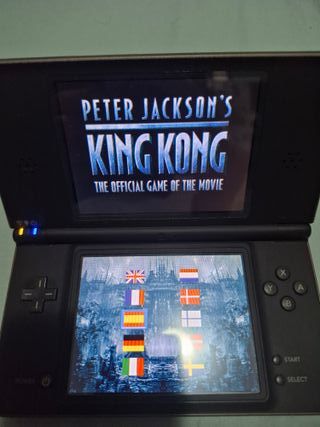 Nintendo DSi XL Chocolate