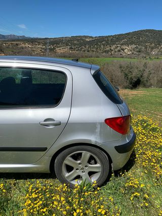 Peugeot 307 - Pegatina B