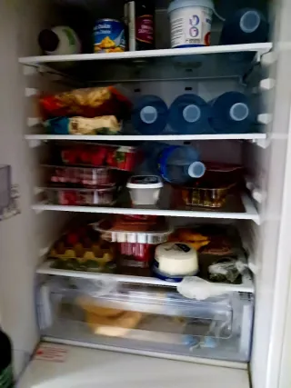 Frigoriifico combi SAMSUNG  RL41ECSW