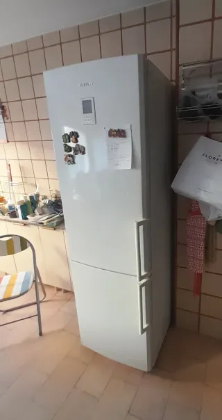 Frigoriifico combi SAMSUNG  RL41ECSW