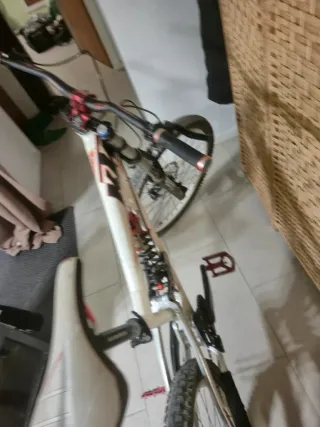 Bici Descenso KTM Aphex