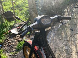 Dervi  Variant Start