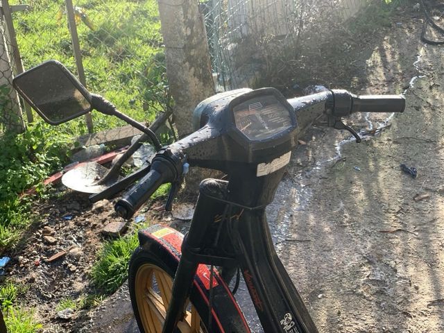 Dervi  Variant Start