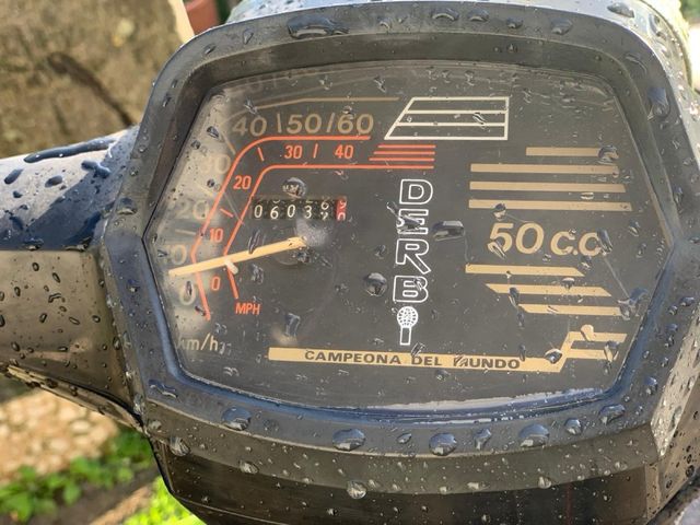 Dervi  Variant Start