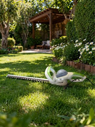 Tagliasiepi Elettrico 550W 51cm