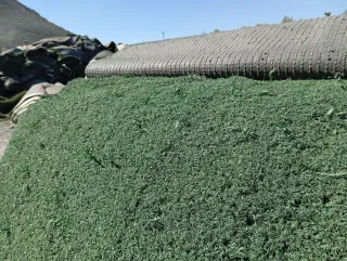 Césped artificial reciclado