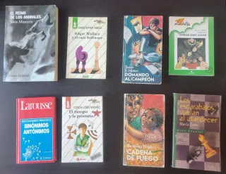 Lote 8 Libros Lectura Juvenil y Consulta - Clásico