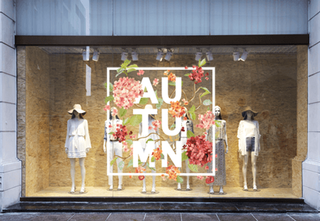 Rotulación de vehículos, locales, escaparates etc.